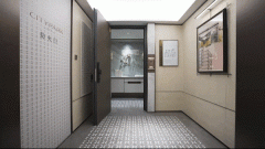 的佼佼者则会熠熠生辉