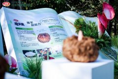 通过社交沟通激活任”的用户体验